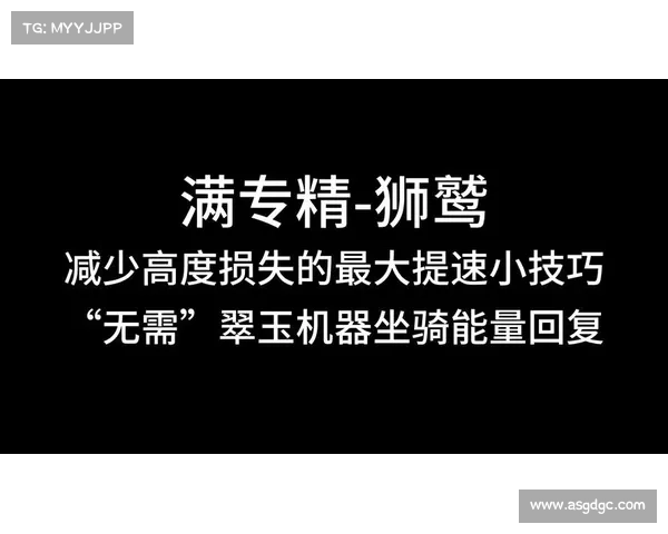 七种实用狮鹫训练方法助你轻松掌握驯兽技巧和飞行技能 七种实用狮鹫训练方法助你轻松掌握驯兽技巧和飞行技能