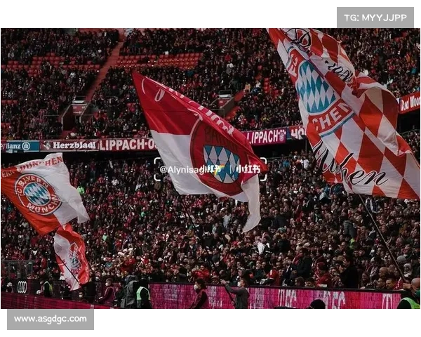 拜仁慕尼黑主场五大特色解析 探秘安联球场的历史与文化