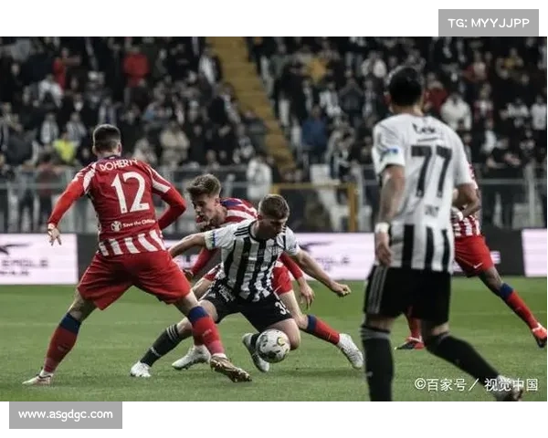 探索法甲冠军标志背后的历史渊源与独特审美魅力深度全面解析指南