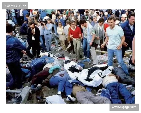 海瑟尔事件对英国足球改革的深远影响与启示分析