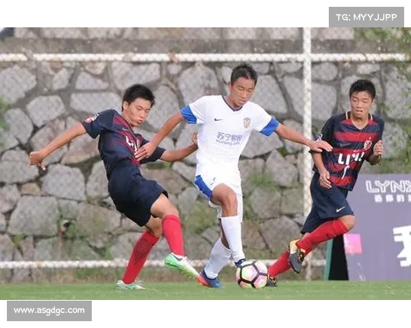 如何从商业角度解读苏宁控股国际米兰的战略意义与长远价值