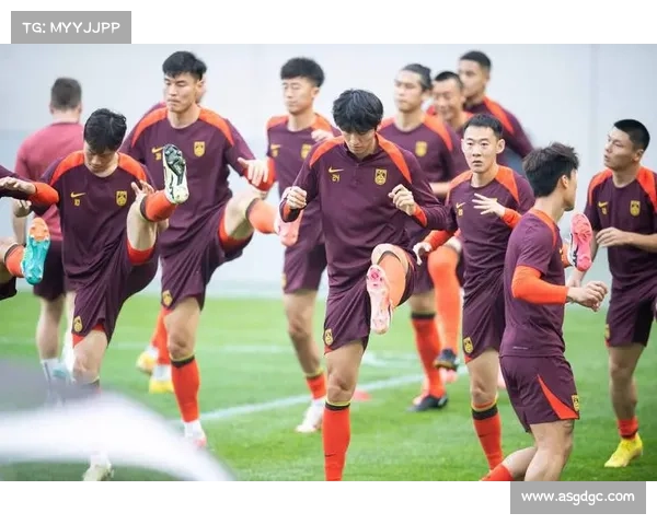 如何科学选择归化球员参与亚洲杯预选赛确保球队竞争力